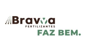 grupo_bcg_logo_bravoa