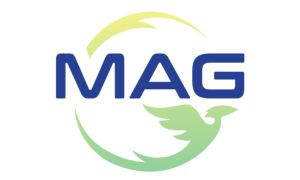 grupo_bcg_logo_mag