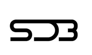 grupo_bcg_logo_sd3 (1)